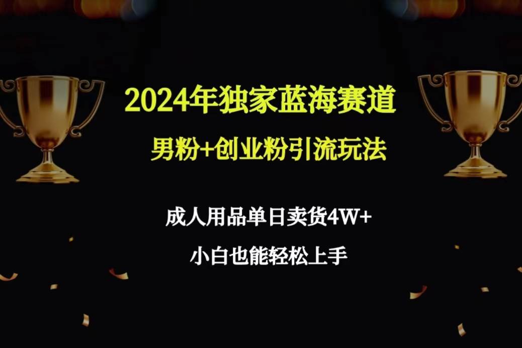 2024年独家蓝海赛道男粉+创业粉引流玩法,成人用品单日卖货4W+保姆教程-墨痕微课