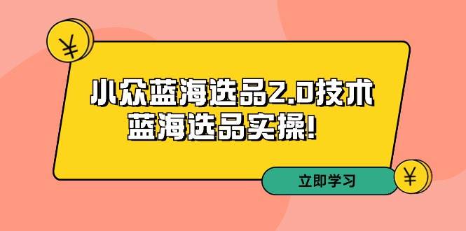 拼多多培训第33期：小众蓝海选品2.0技术-蓝海选品实操！-墨痕微课