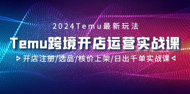 2024Temu跨境开店运营实战课，开店注册/选品/核价上架/日出千单实战课-墨痕微课