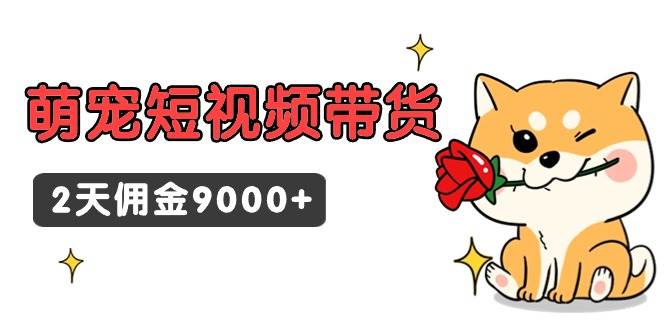 东哲日记·萌宠短视频带货,2天佣金9000+-墨痕微课