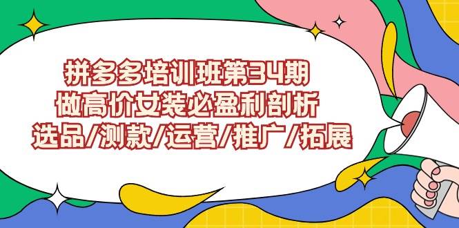 拼多多培训班第34期:做高价女装必盈利剖析  选品/测款/运营/推广/拓展-墨痕微课