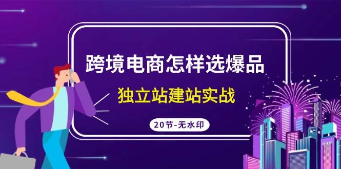 跨境电商怎样选爆品,独立站建站实战(20节高清无水印课)-墨痕微课