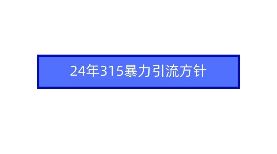 2024年315暴力引流方针-墨痕微课