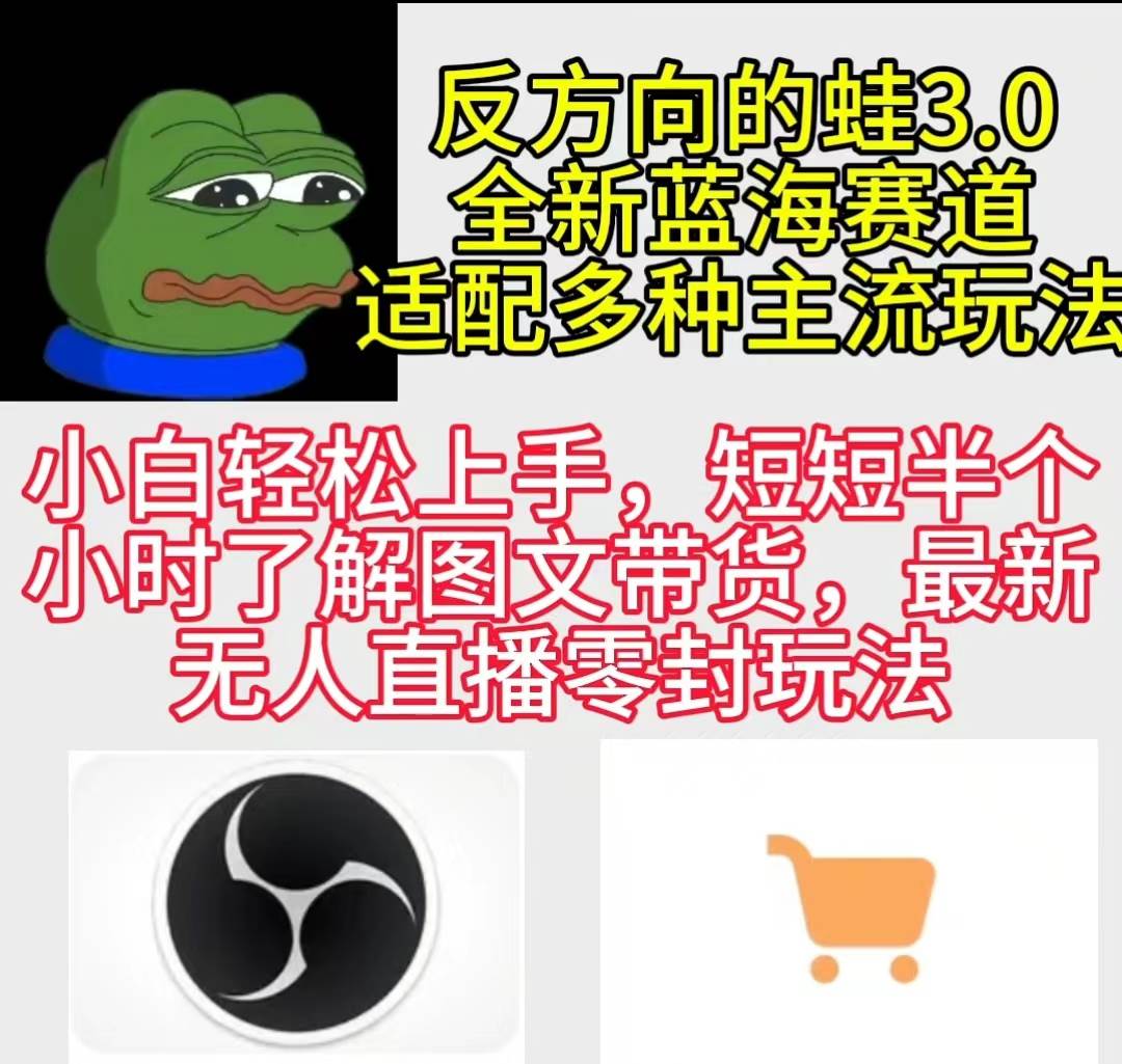 反方向的蛙3.0,图文最新玩法,变现多元化,新蓝海项目,小白轻松上手-墨痕微课