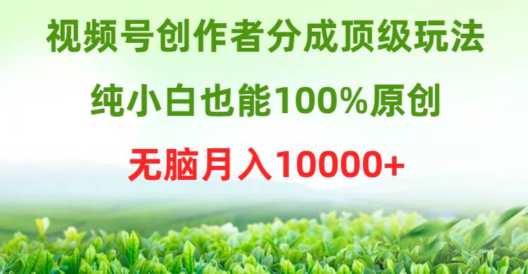 视频号创作者分成顶级玩法，纯小白也能100%原创，无脑月入10000+-墨痕微课