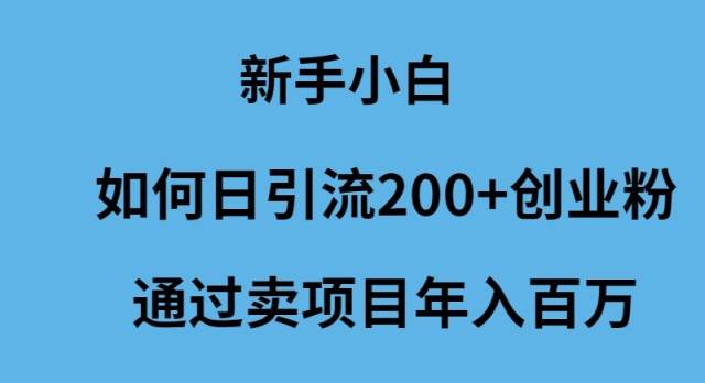 新手小白如何日引流200+创业粉通过卖项目年入百万-墨痕微课