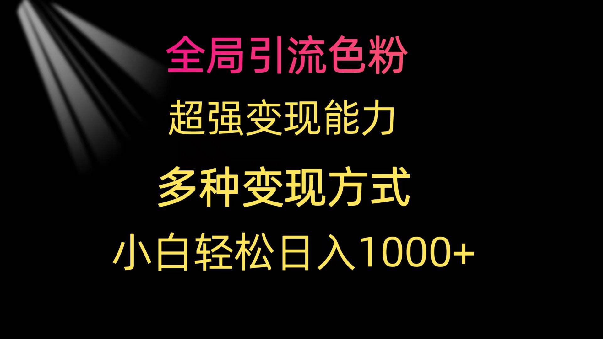 全局引流色粉 超强变现能力 多种变现方式 小白轻松日入1000+-墨痕微课