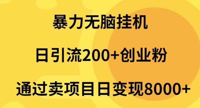 暴力无脑挂机日引流200+创业粉通过卖项目日变现2000+-墨痕微课