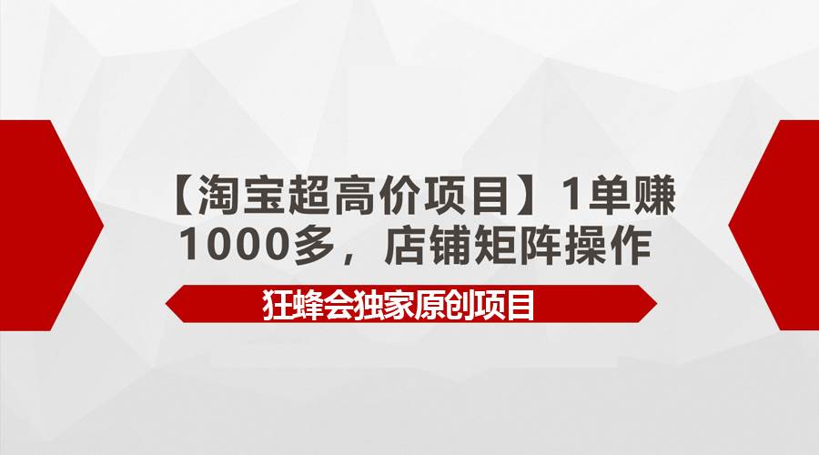 【淘宝超高价项目】1单赚1000多，店铺矩阵操作-墨痕微课