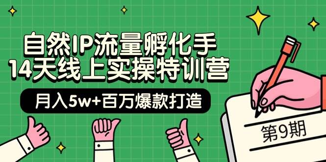 自然IP流量孵化手 14天线上实操特训营【第9期】月入5w+百万爆款打造 (74节)-墨痕微课