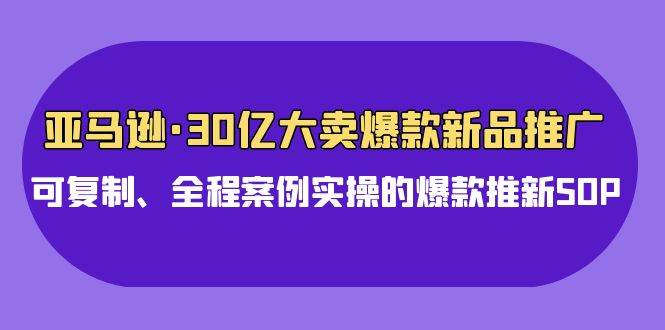 亚马逊30亿·大卖爆款新品推广,可复制、全程案例实操的爆款推新SOP-墨痕微课