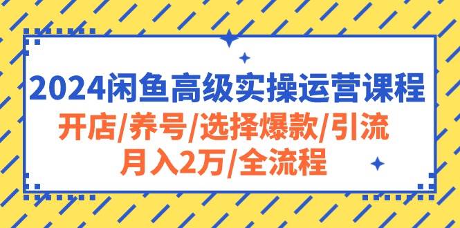 2024闲鱼高级实操运营课程：开店/养号/选择爆款/引流/月入2万/全流程-墨痕微课