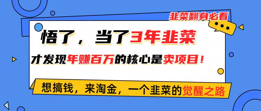 悟了,当了3年韭菜,才发现网赚圈年赚100万的核心是卖项目,含泪分享!-墨痕微课