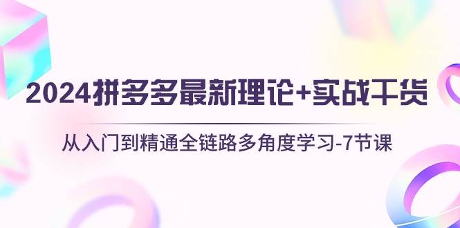 2024拼多多 最新理论+实战干货,从入门到精通全链路多角度学习-7节课-墨痕微课