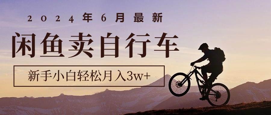 2024年6月最新闲鱼卖自行车,新手小白轻松月入3w+项目-墨痕微课