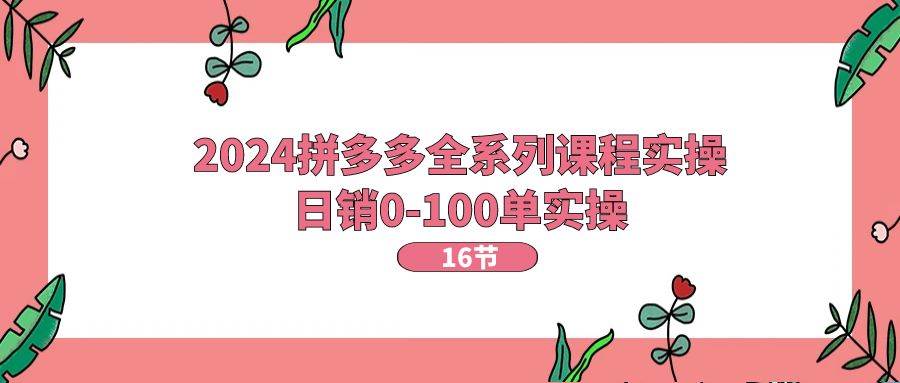 2024拼多多全系列课程实操,日销0-100单实操【16节课】-墨痕微课