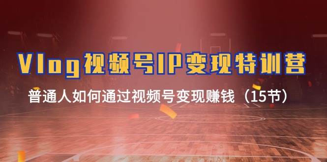 Vlog 视频号IP变现特训营，普通人如何通过视频号变现赚钱（15节）-墨痕微课