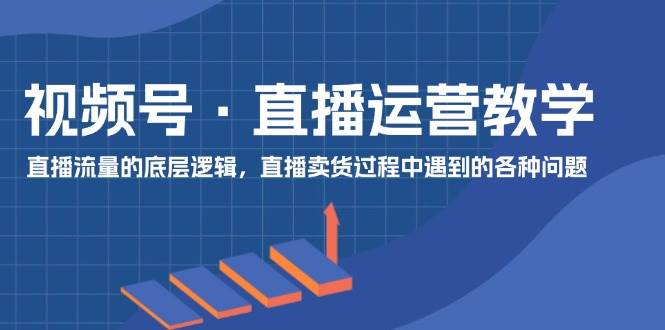 视频号 直播运营教学：直播流量的底层逻辑，直播卖货过程中遇到的各种问题-墨痕微课