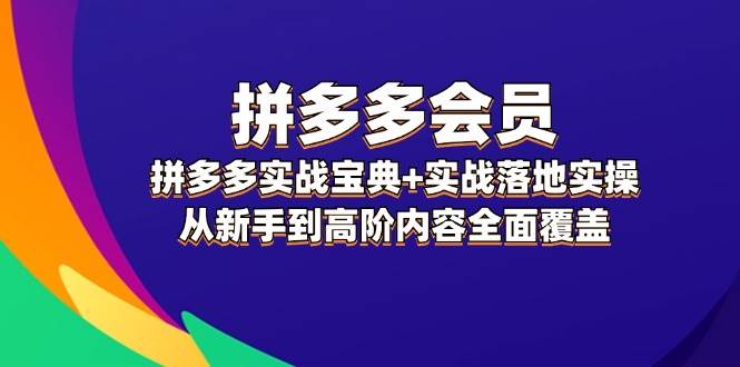 拼多多 会员，拼多多实战宝典+实战落地实操，从新手到高阶内容全面覆盖-墨痕微课